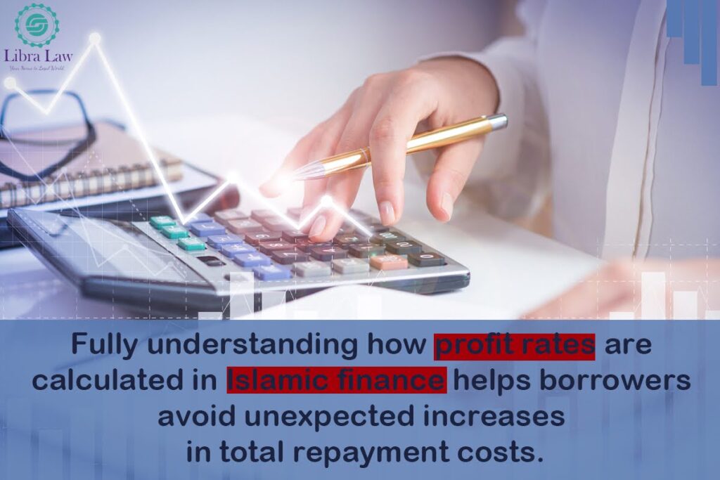 Clarifying Repayment Structures and Interest Calculation